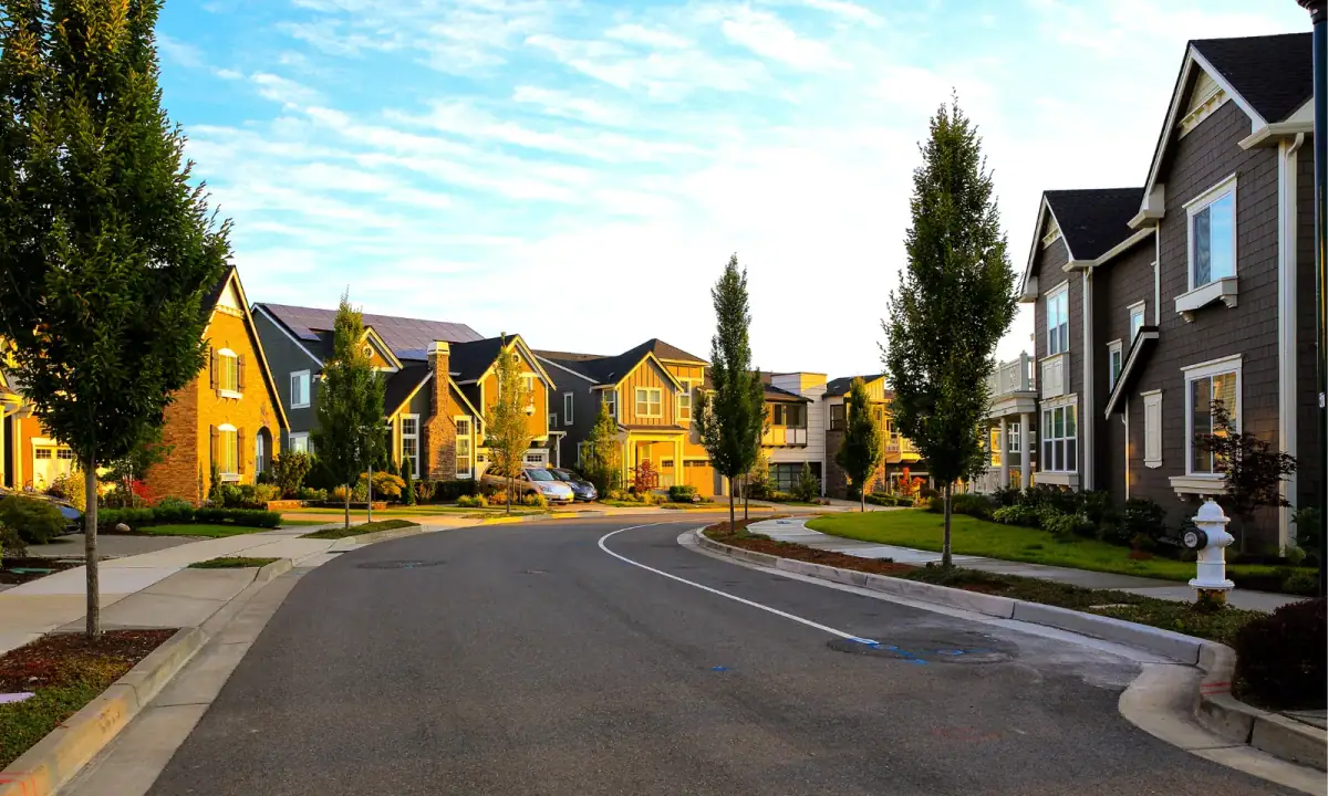 A newly built street of homes with young trees along the sidewalk
